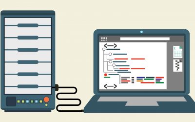 Advantages of Using a Smaller Web Hosting Company