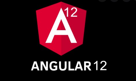 Angular 12