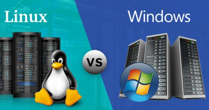 Advantage of Linux VPS Hosting Over Windows VPS Hosting