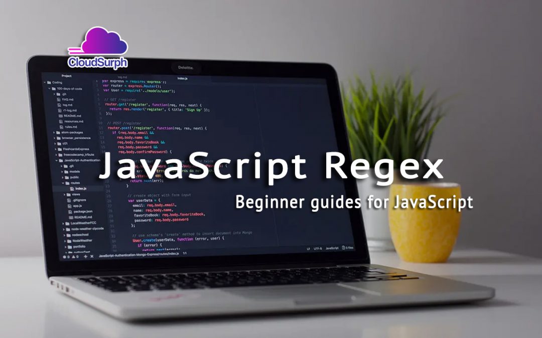 How to use Regex in JavaScript Function?